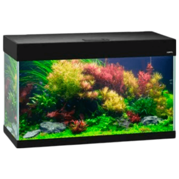 Acvariu Aquael OPTI SET 124303 Black 125 l photo 1