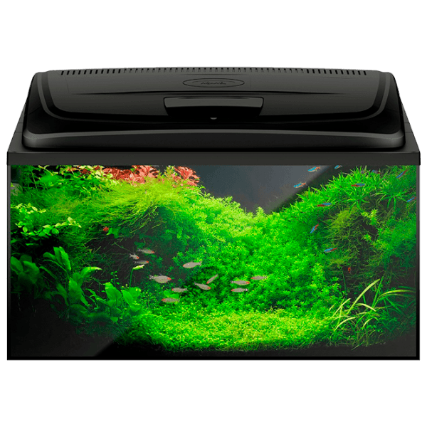 Acvariu Aquael Aqua4 Family Rectangular Black 112 l photo 1
