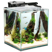 Acvariu Aquael Fish&Shrimp Set Duo Transparent 49 l