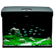 Acvariu Aquael Set Brillux Bio 60 Rectangular Black 90 l