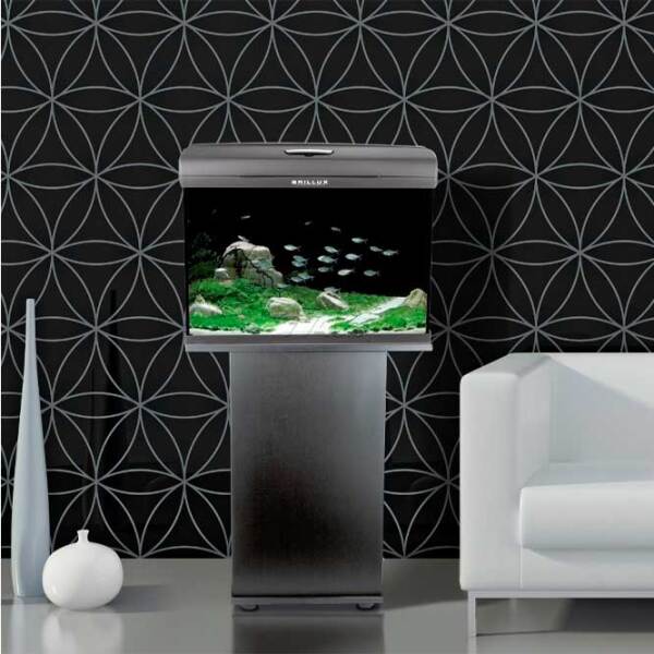Acvariu Aquael Set Brillux Bio 60 Rectangular Black 90 l photo 3