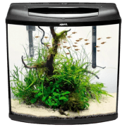 Acvariu Aquael Pearl High 40 Oval Black 32 l