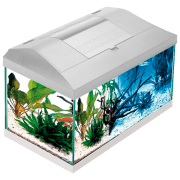Acvariu Aquael Leddy Plus PAP-60 D&N LED White 54 l