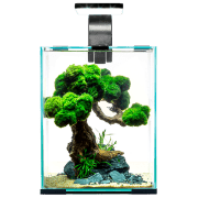 Acvariu Aquael SMART D&N 10 Transparent 10 l