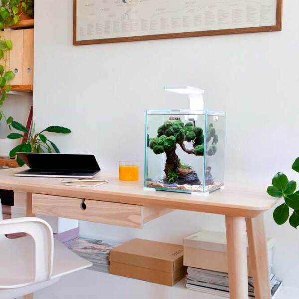 Acvariu Aquael SMART D&N 10 Black 19 l photo 3