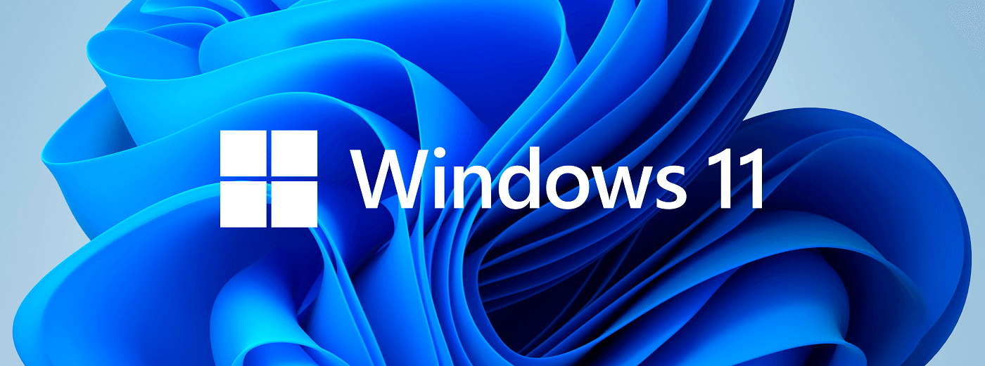 Windows 11