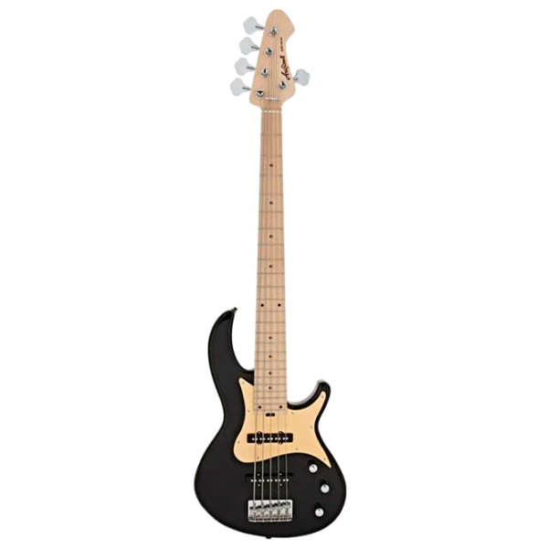 Chitară bas electrică ARIA Pro II RSB-618/5
Black , 4/4 photo 1