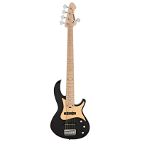 Chitară bas electrică ARIA Pro II RSB-618/5
Black , 4/4