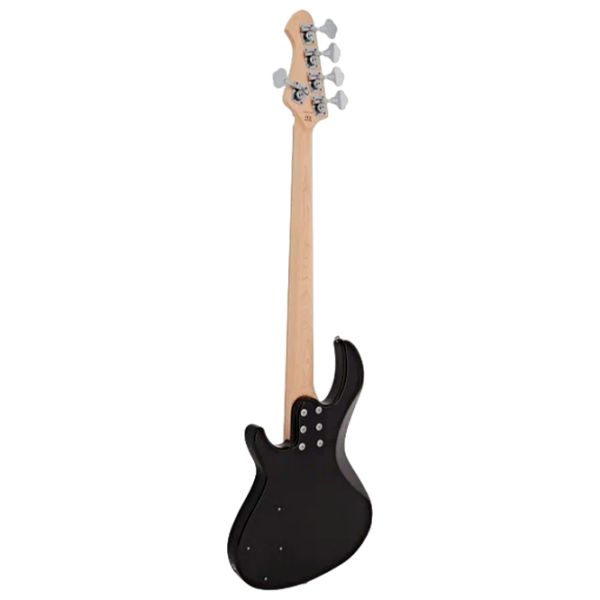 Chitară bas electrică ARIA Pro II RSB-618/5
Black , 4/4 photo 3