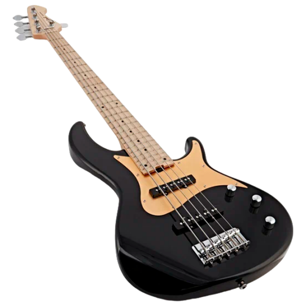 Chitară bas electrică ARIA Pro II RSB-618/5
Black , 4/4 photo 5