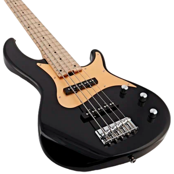 Chitară bas electrică ARIA Pro II RSB-618/5
Black , 4/4 photo 9