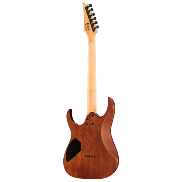 Chitară electrică Ibanez GRG121DX WNF
Walnut Flat , 4/4 photo 2