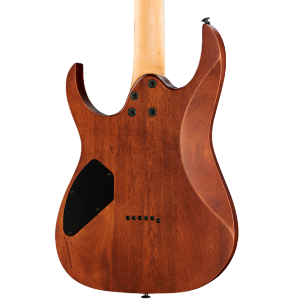Chitară electrică Ibanez GRG121DX WNF
Walnut Flat , 4/4 photo 4