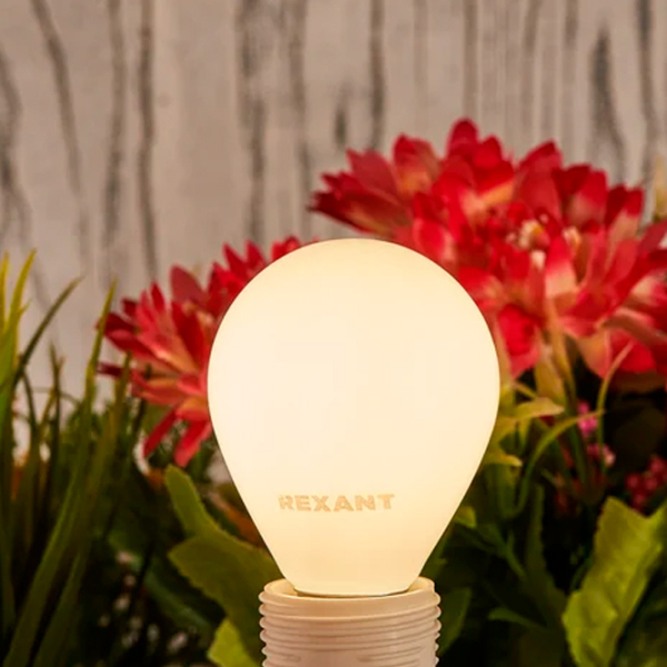 Лампочка светодиодная филаментная Rexant GL45 604-134 E14 | 9.5 Вт | White photo 5