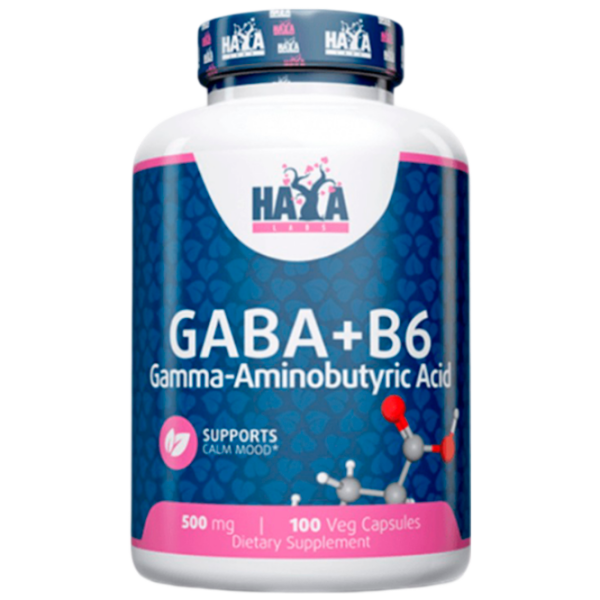 Aminoacizi Haya Labs GABA + B6 (858047007823) 500 g  photo 1