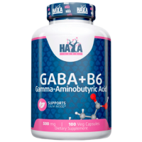 Aminoacizi Haya Labs GABA + B6 (858047007823) 500 g 