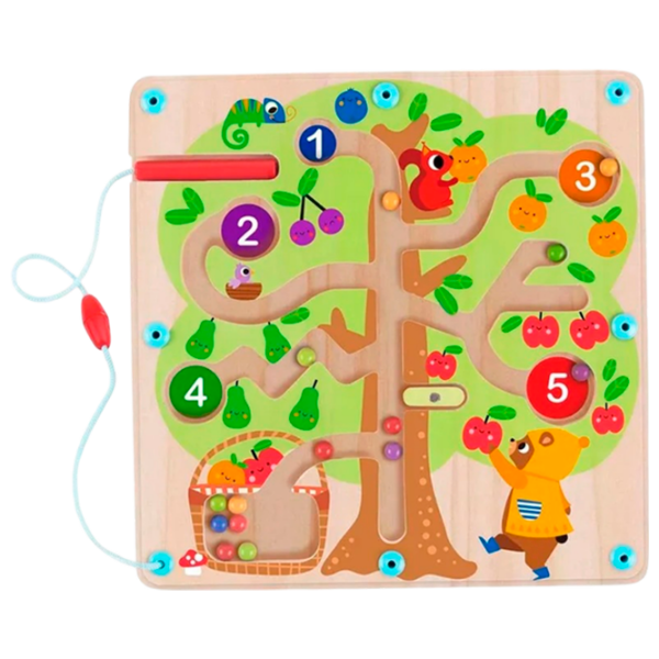 Joc educativ Tooky Toy TH687 Dezvoltare, 2+ photo 1