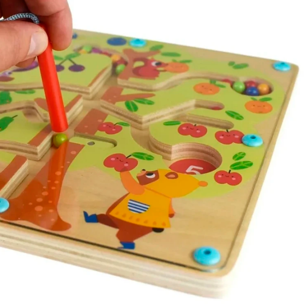 Joc educativ Tooky Toy TH687 Dezvoltare, 2+ photo 2