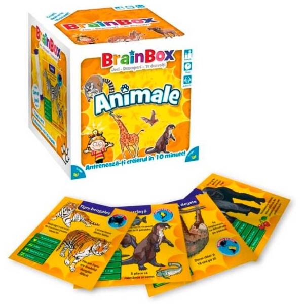 Развивающий набор BrainBox Animals Развитие, 4+ photo 2