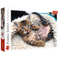 Puzzle Trefl Cheerful kitten (10448) Количество деталей: 1000, Рекомендуемый возраст: 12+
