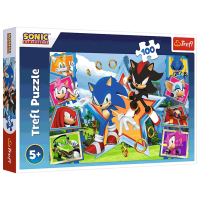 Puzzle Trefl Meet Sonic (16465) Numărul de piese: 100, Vârsta recomandată: 5+