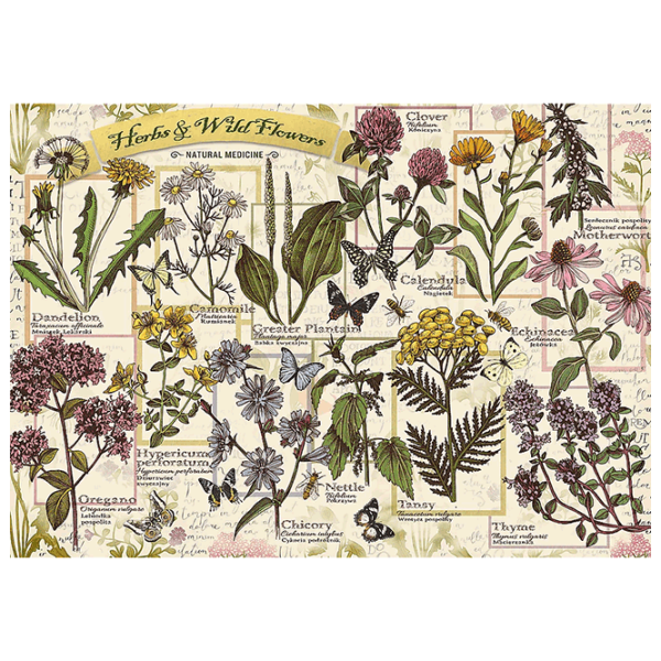 Puzzle Trefl Herbarium: Medicinal Herbs (37478) Количество деталей: 500, Рекомендуемый возраст: 10+ photo 2