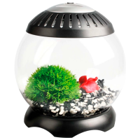 Аквариум Flamingo Nano Aquarium Sphere Черный 5 л