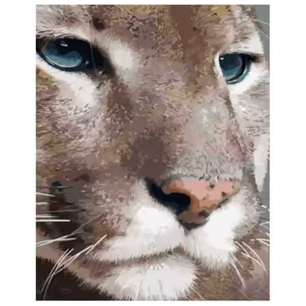 Pictură pe numere Strateg Puma GS1334 50 x 40 cm, Pânză photo 1