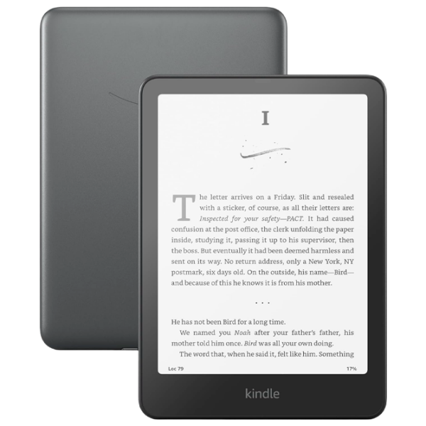 Электронная книга Amazon Kindle Paperwhite (12th Gen) (2024) 32 ГБ Металлик  photo 1