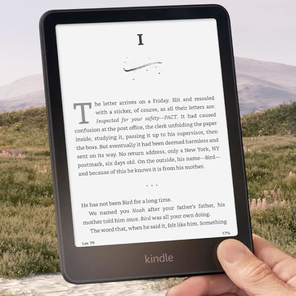 Электронная книга Amazon Kindle Paperwhite (12th Gen) (2024) 32 ГБ Металлик  photo 2