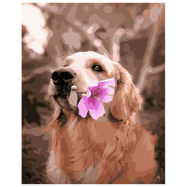 Pictură pe numere Strateg Retriever cu o floare GS309 50 x 40 cm, Pânză photo 1