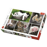 Puzzle Trefl Kittens (5900511261455) Numărul de piese: 1500, Vârsta recomandată: 12+