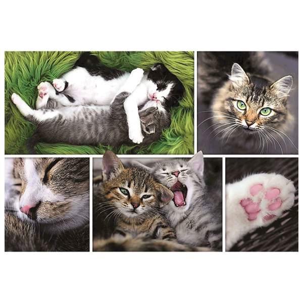 Puzzle Trefl Kittens (5900511261455) Numărul de piese: 1500, Vârsta recomandată: 12+ photo 2