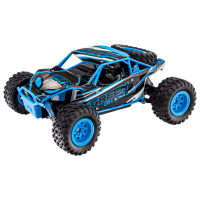 Машинка RC 44537 8600018244537
Черный
Синий 
