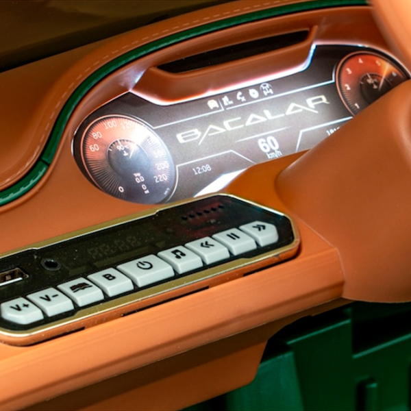 Mașină electrică Bentley Bacalar Richi Tichi JE1008/2 Green 3+ | 30 kg |  photo 13