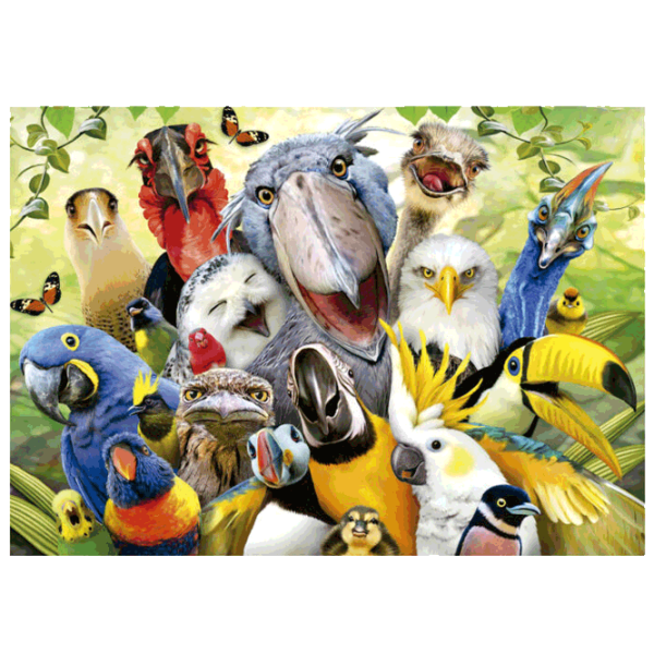 Puzzle Educa Watch The Birdie (19622) Numărul de piese: 500, Vârsta recomandată: 11+ photo 2