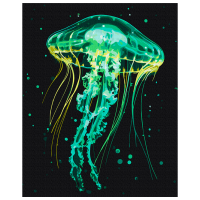 Pictură pe numere BrushMe Meduza strălucitoare BS54149FC 50 x 40 cm, Pânză