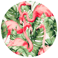 Pictură pe numere BrushMe Flamingo în tropice RC00017FC 30 x 30 cm, Pânză