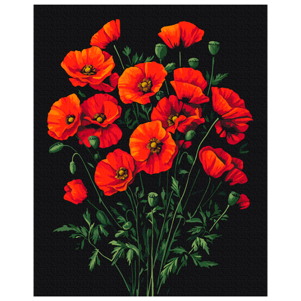 Pictură pe numere BrushMe Farmecul macilor BS54146FC 50 x 40 cm, Pânză photo 1