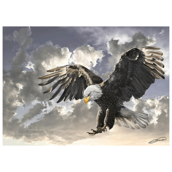 Puzzle Art Puzzle Black and White (8697950841672) Количество деталей: 500, Рекомендуемый возраст: 8+ photo 2