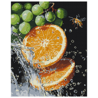 Pictură pe numere BrushMe O combinație suculentă BS54150 50 x 40 cm, Pânză