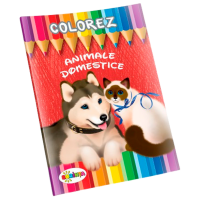Креативный набор Dorința Colorez Домашние животные 9789975431316 Разноцветный Для детей, 4+