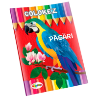 Креативный набор Dorința Colorez Păsări 9789975431392 Разноцветный Для детей, 4+