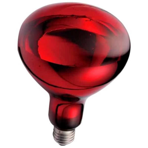 Lampă infraroşu Incandescentă Tehno MS 00000955  E27 | 300 W | Red photo 1