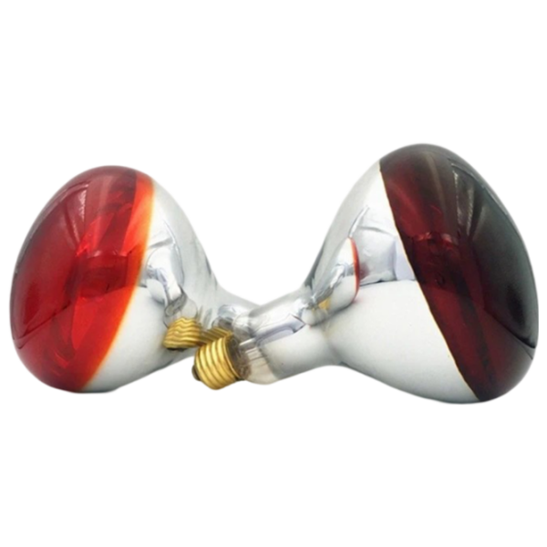 Lampă infraroşu Incandescentă Tehno MS R125 10001400 E27 | 150 W | Red photo 4