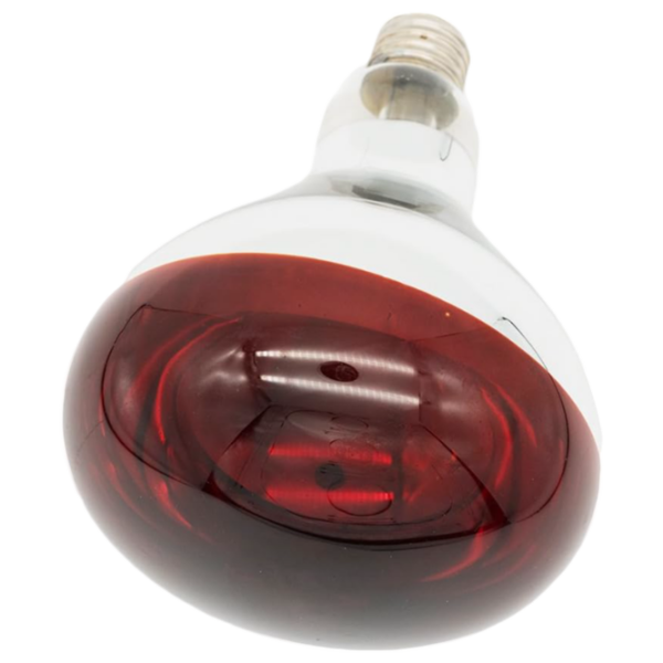 Lampă infraroşu Incandescentă Tehno MS R125 10001400 E27 | 150 W | Red photo 7