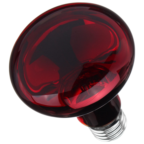 Lampă infraroşu Incandescentă Tehno MS R80 10001399 E27 | 100 W | Red photo 1