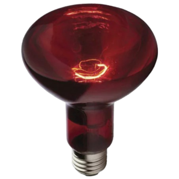 Lampă infraroşu Incandescentă Tehno MS R80 10001399 E27 | 100 W | Red photo 2