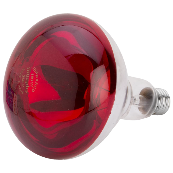 Lampă infraroşu Incandescentă Philips BR125 151894 E27 | 150 W | Red photo 2
