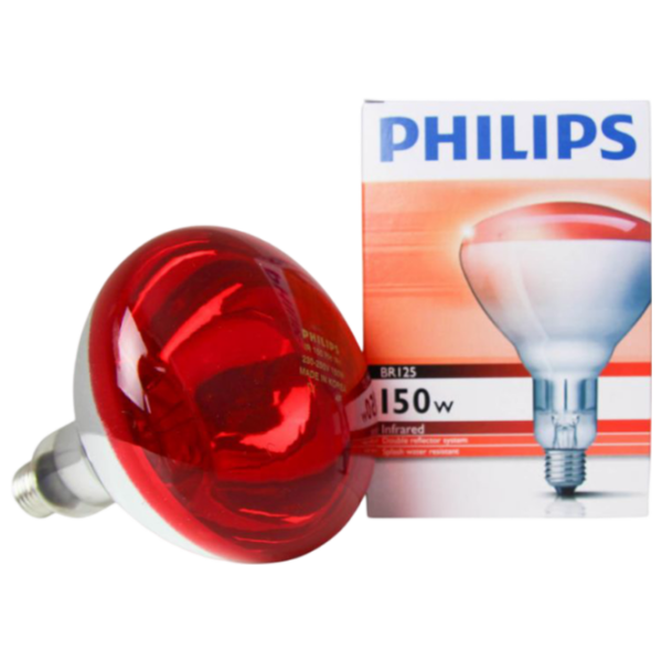 Lampă infraroşu Incandescentă Philips BR125 151894 E27 | 150 W | Red photo 3